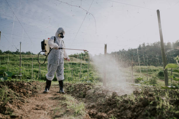 Best Affordable Pest Control Services  in Englewood, CO