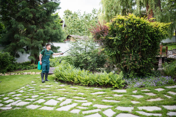 Best Pest Control Treatment  in Englewood, CO
