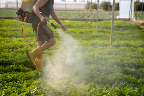 Best Pest Prevention Services  in Englewood, CO