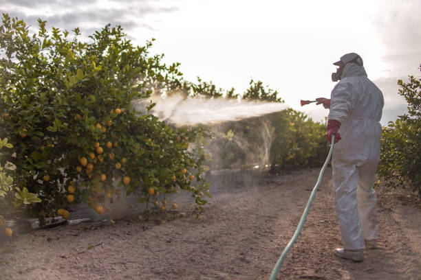 Wildlife Control Services in Englewood, CO