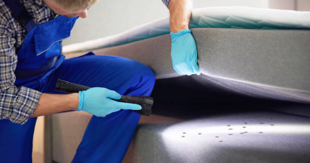 Pest Control Cost in Englewood, CO