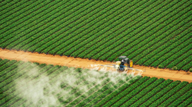 Best Commercial Pest Control Services  in Englewood, CO