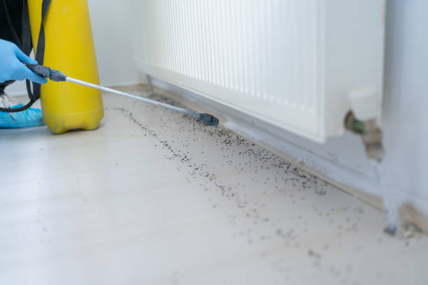 Englewood, CO Pest Control Company
